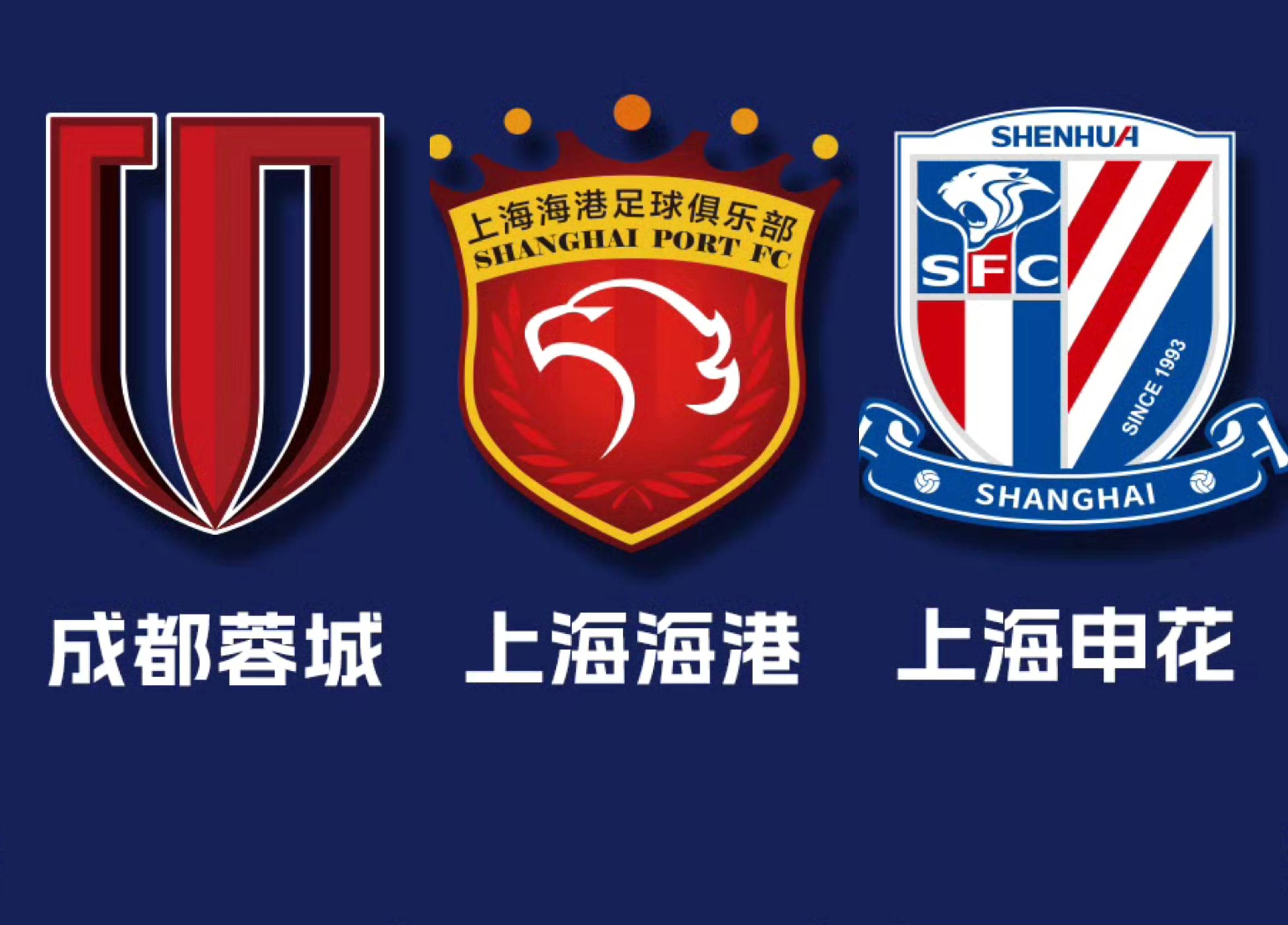 2025年成都蓉城足球俱乐部球员名单最新