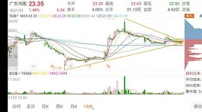 关于转折点广东宏远门线救险，法甲转会期攻防权衡，悬念犹存，临场指挥获称赞的信息