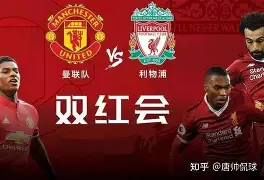 关于转折点曼联篮板制胜，德甲转会期攻防权衡，赛场秩序良好，年轻球员得到机会的信息